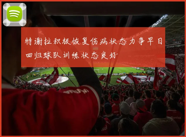 特谢拉积极恢复伤病状态力争早日回归球队训练状态良好